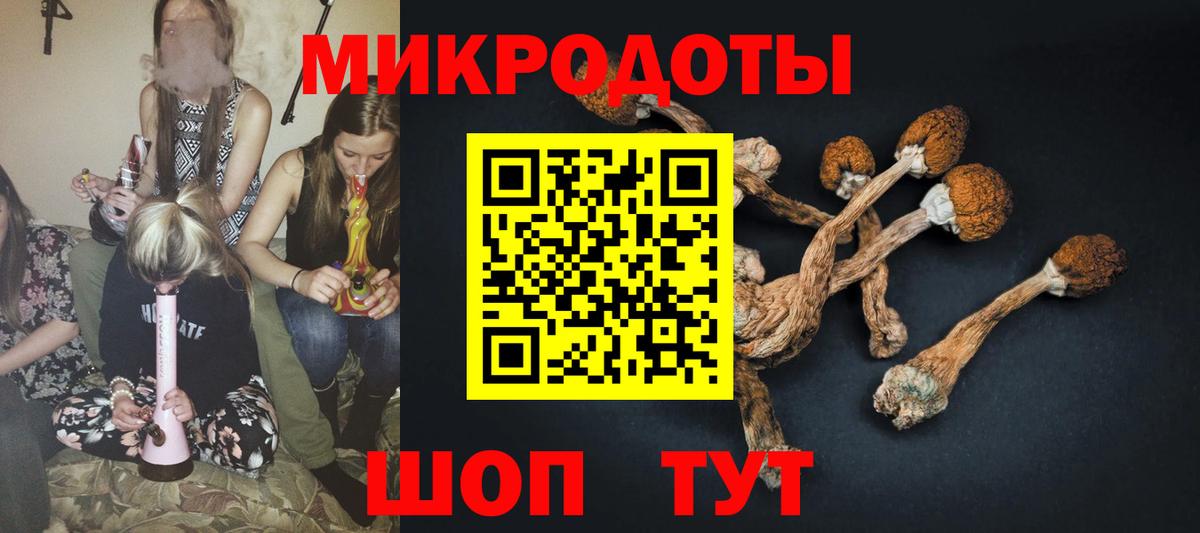 Псилоцибиновые грибы GOLDEN TEACHER  Вход с VPN  Калач-на-Дону  Псилоцибиновые грибы GOLDEN TEACHER 